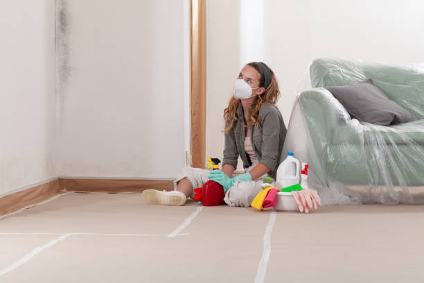Reliable Mold Removal contractor in Erwin, NC by WQB Mold Removal